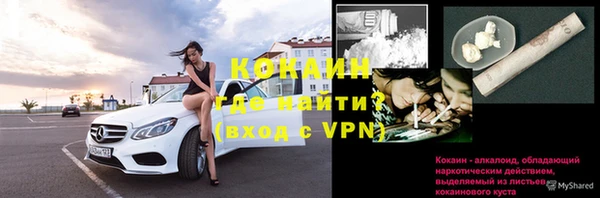 бошки Нея