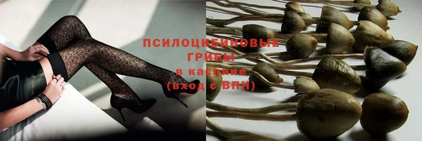 индика Нефтегорск