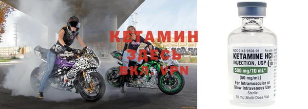 дмт Гусев