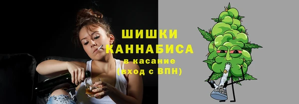 дживик Гусь-Хрустальный