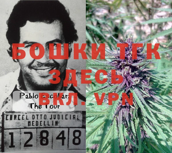 бошки Нея