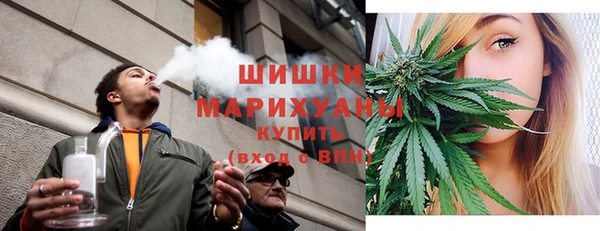 индика Нефтегорск