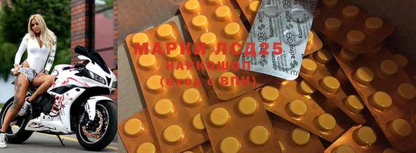 индика Нефтегорск