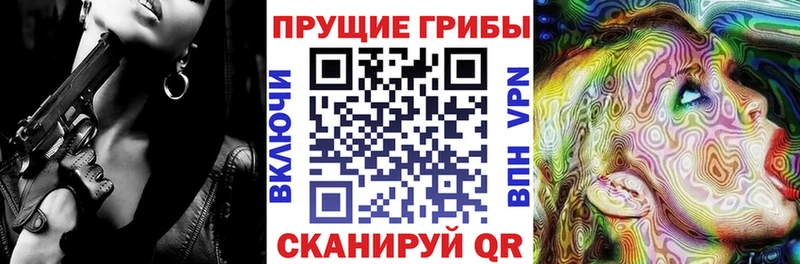 Галлюциногенные грибы мухоморы  дарнет шоп  Пустошка 